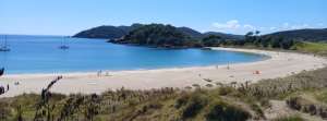 fiona.moore@tekura.school.nz